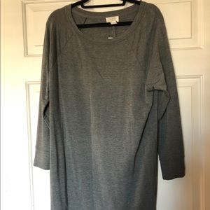 LOFT Sweatshirt Dress